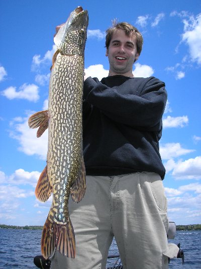 Northern Pike from Wisconsin.