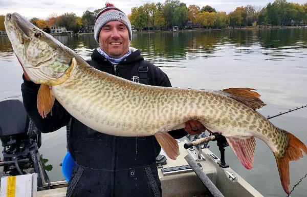 53" Long Musky with a 26.75" Girth and weighing in at 47 pounds caught in SE Wisconsin in 2020